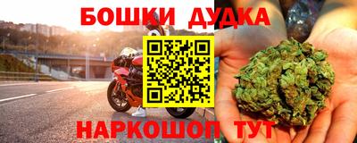 прущие грибы Аргун