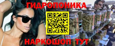 прущие грибы Аргун