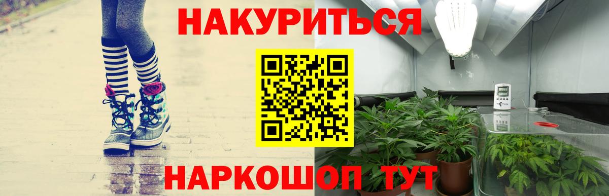 Конопля планчик Артёмовский